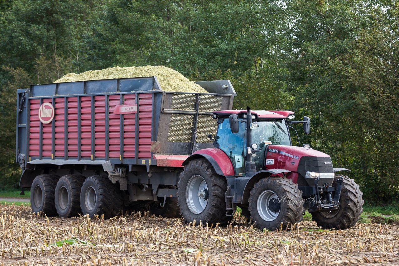 Bild 128 - Maisernte